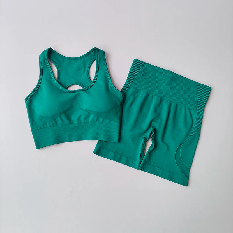 Conjunto Desportivo Seamless 2 Peças