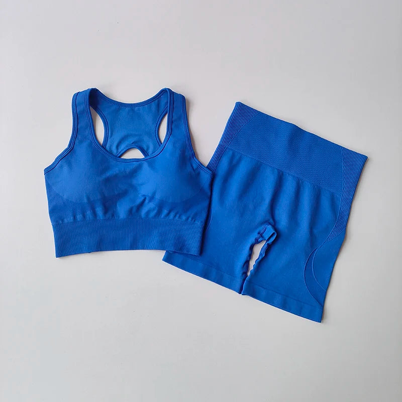 Conjunto Desportivo Seamless 2 Peças