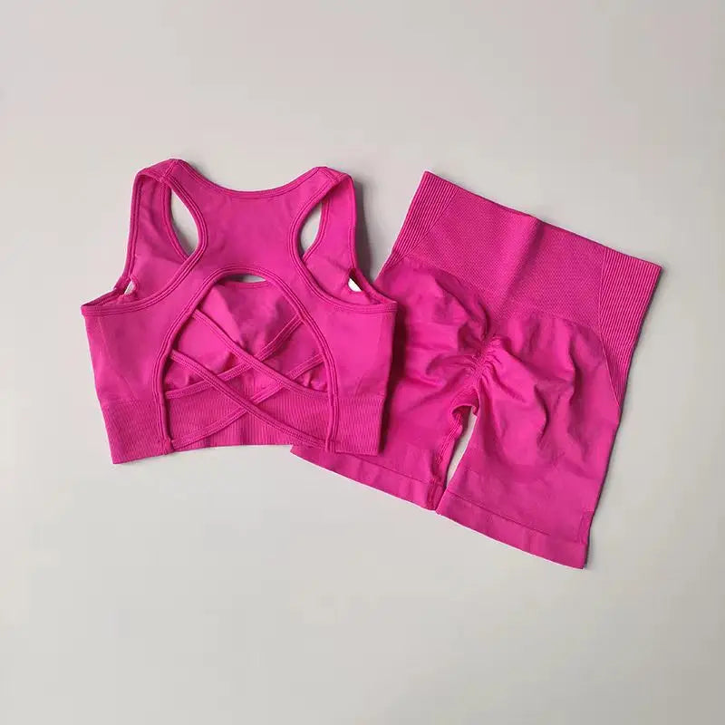 Conjunto Desportivo Seamless 2 Peças