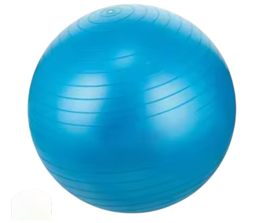 FitBall 55 cm